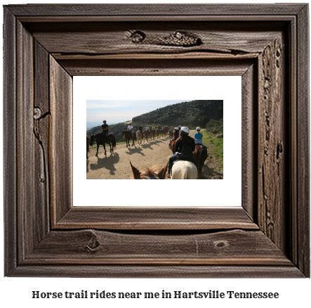 horse trail rides near me in Hartsville, Tennessee